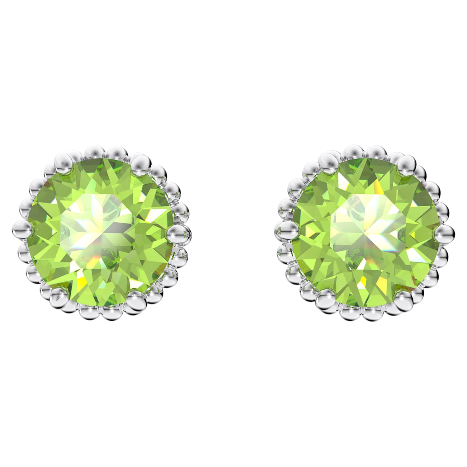 スワロフスキー Swarovski クリスベア わすれな草 SWAROVSKI スワロフスキー クリスベア わすれな草 忘れな草 花