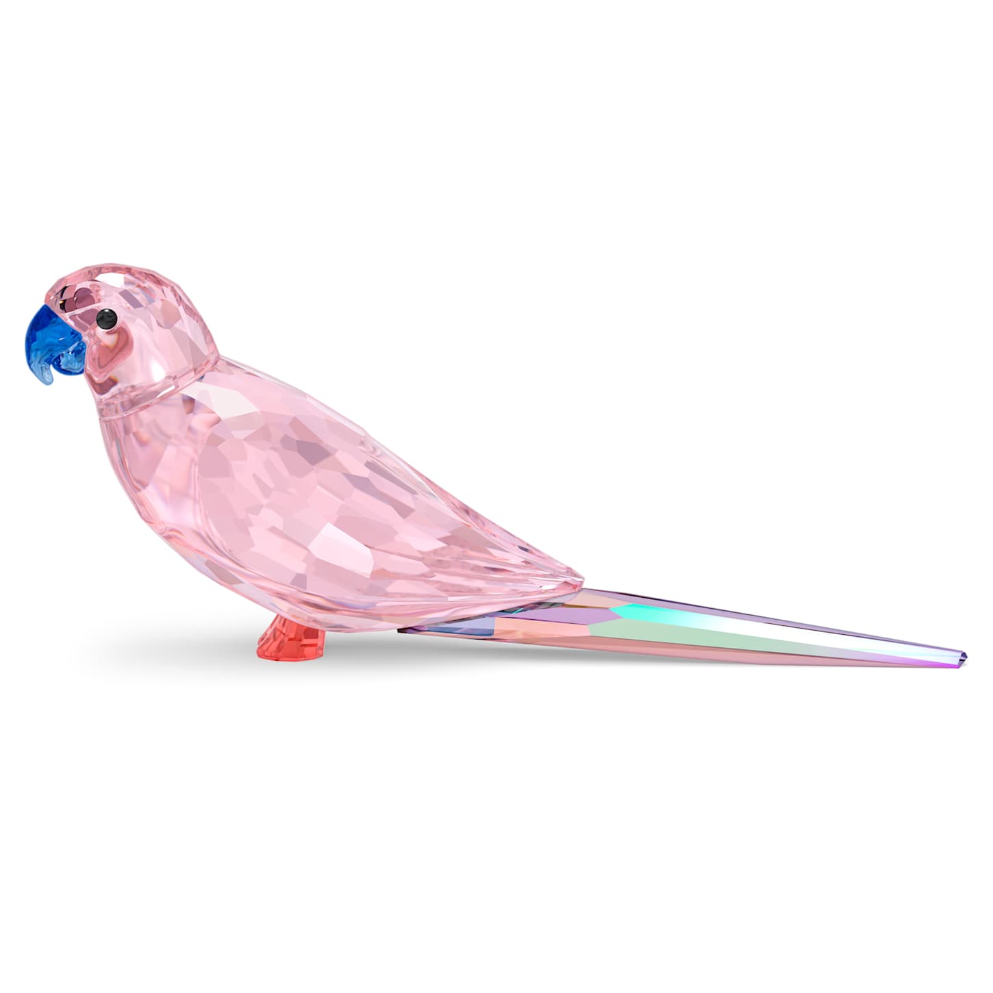 ◇未使用◇Jungle Beatsピンクのインコ Cha Cha スワロフスキー jungle-beatsピンクのインコ-cha