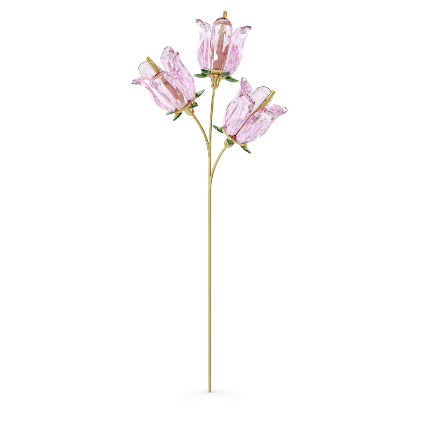 garden-tales-bellflower-