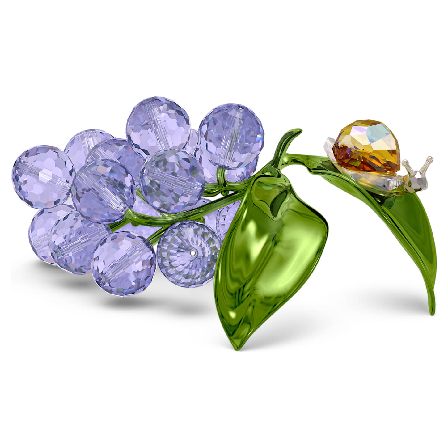 idylliaカタツムリ＆