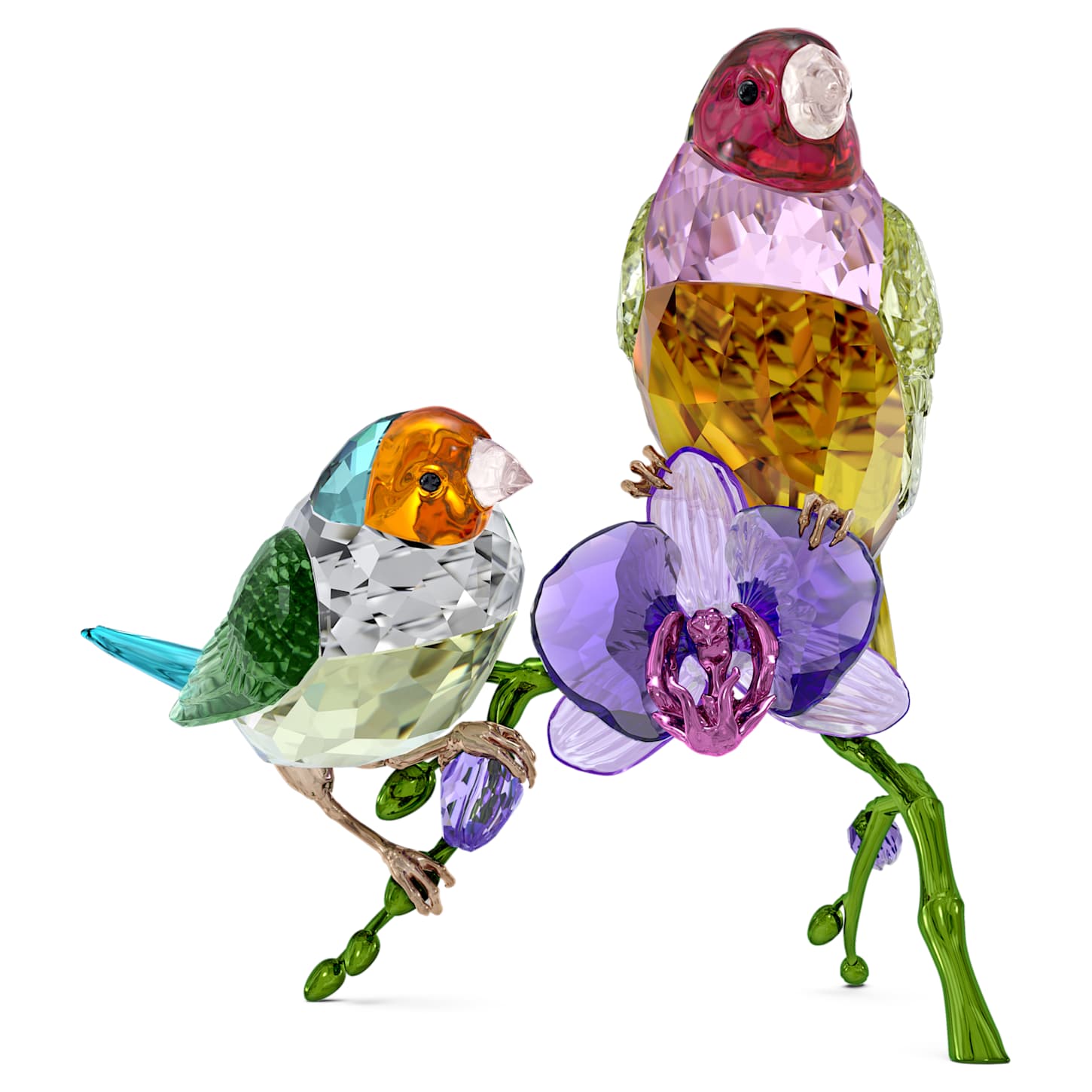 Idyllia SCS水晶年集2024胡錦鳥| Swarovski