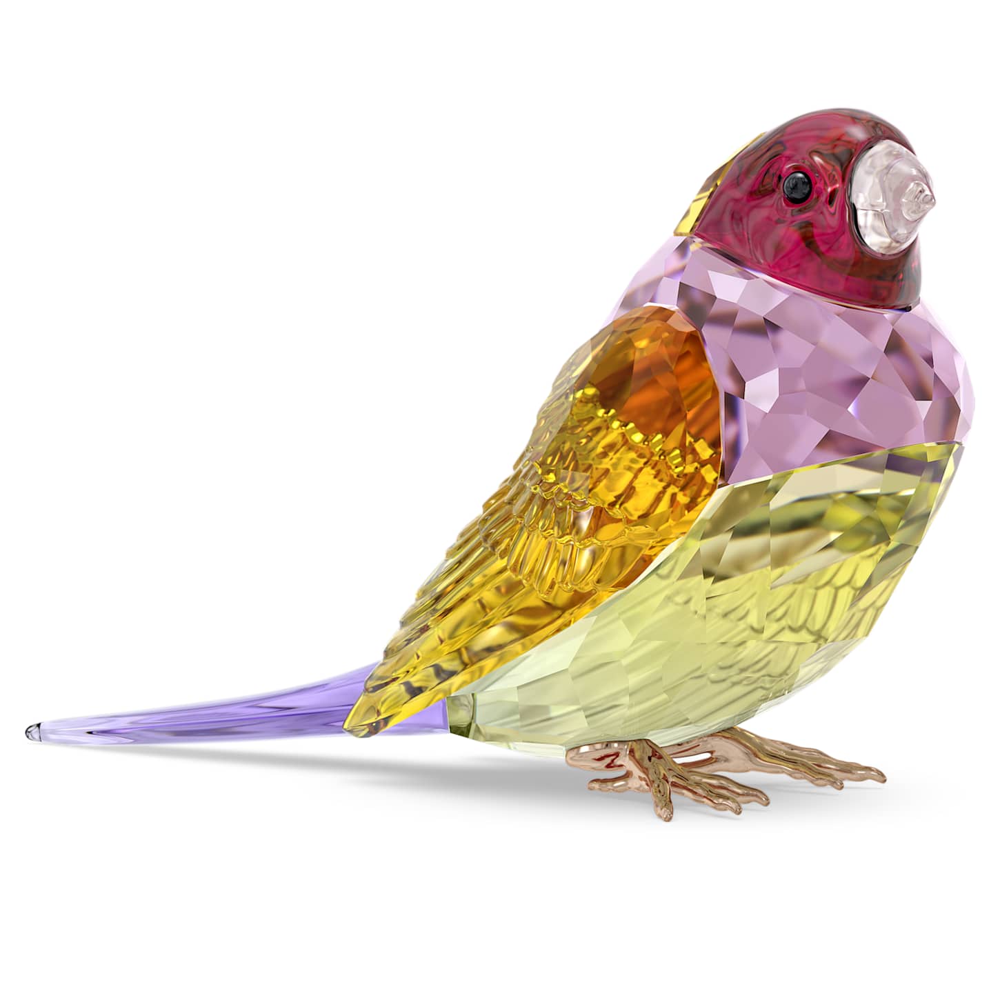 Idyllia SCS Gouldian Finch, Large | Swarovski