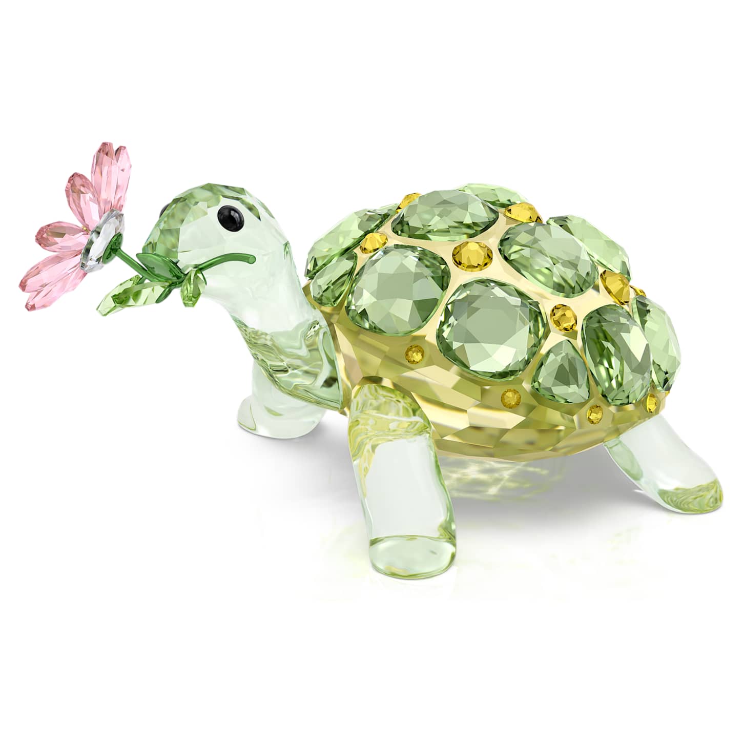 Idyllia カメとデイジー | Swarovski
