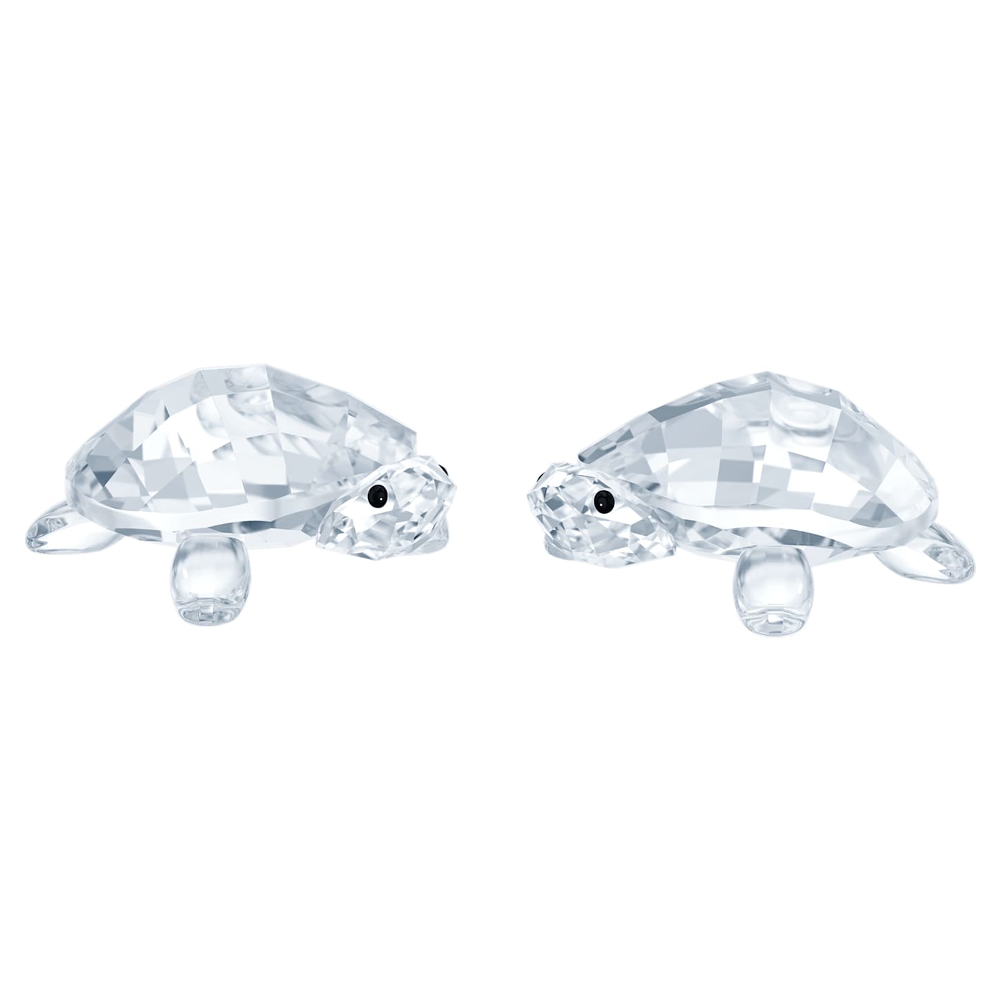 Peaceful Countryside Baby Tortoises | Swarovski