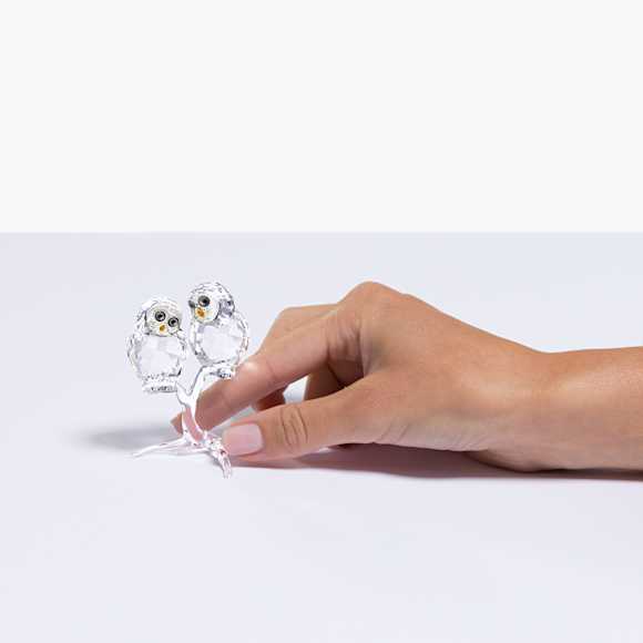 Feathered Beauties Owl Couple - Swarovski, 5493722