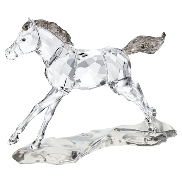 SCS Foal - Swarovski, 5004729
