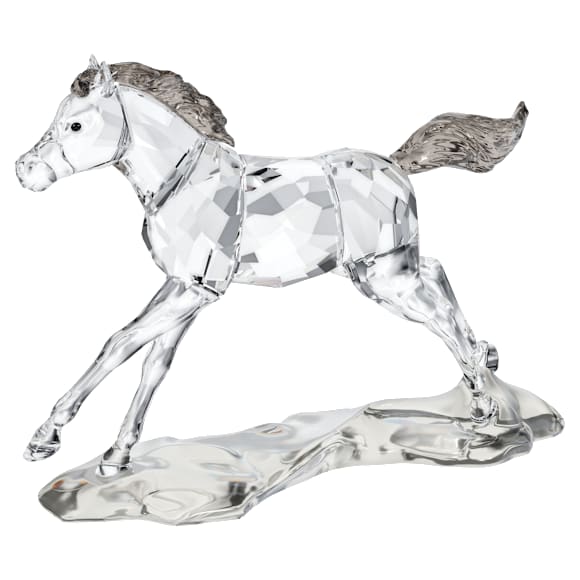 SCS Foal - Swarovski, 5004729