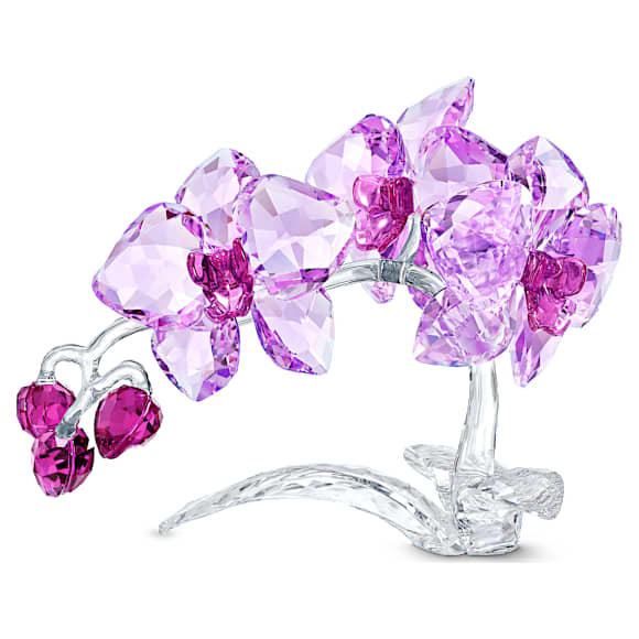 Orchidea - Swarovski, 5520373