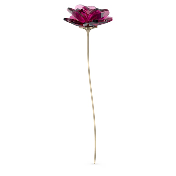 Garden Tales Roos - Swarovski, 5557800