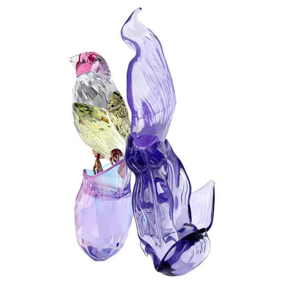 happy 様 SWAROVSKI✨スワロフスキー コキンチョウ 鳥 置物 【公式通販】