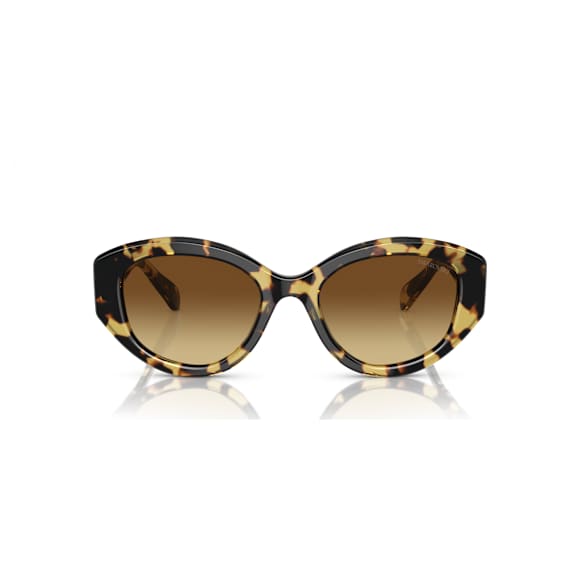 แว่นกันแดด, ทรงตาแมว, SK6008, น้ำตาล - Swarovski, 5679535