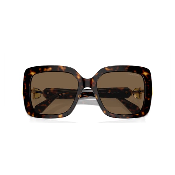 Gafas de sol, De gran tamaño, Forma cuadrada, SK6001, Marrones - Swarovski, 5679904