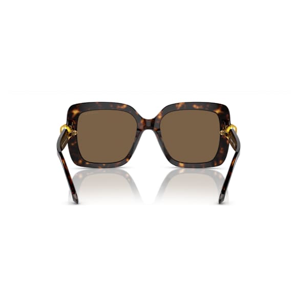 Gafas de sol, De gran tamaño, Forma cuadrada, SK6001, Marrones - Swarovski, 5679904