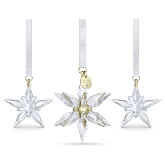 Annual Edition 3D 挂饰套装 2025 - Swarovski, 5701628