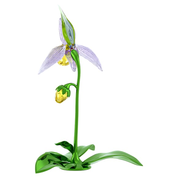 Florere Lady Slipper Orchid - Swarovski, 5721548