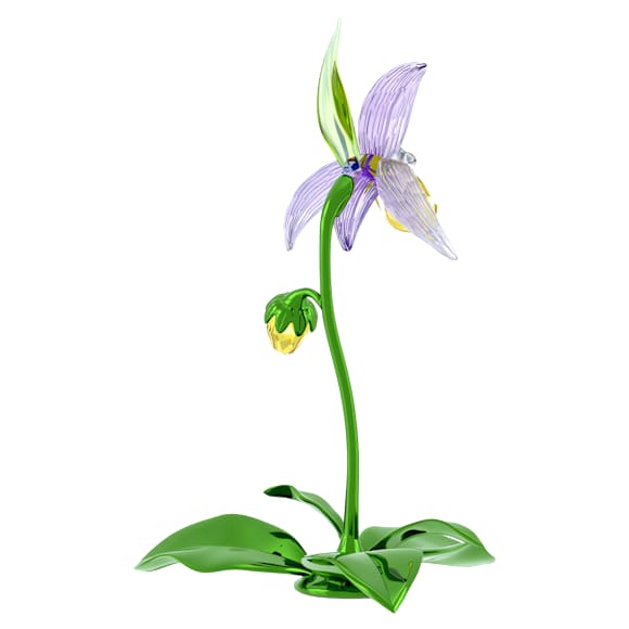Florere Lady Slipper Orchid - Swarovski, 5721548