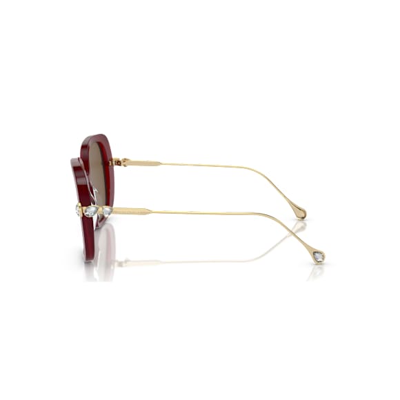 Sunglasses, Square shape, SK6011, Brown - Swarovski, 5746446