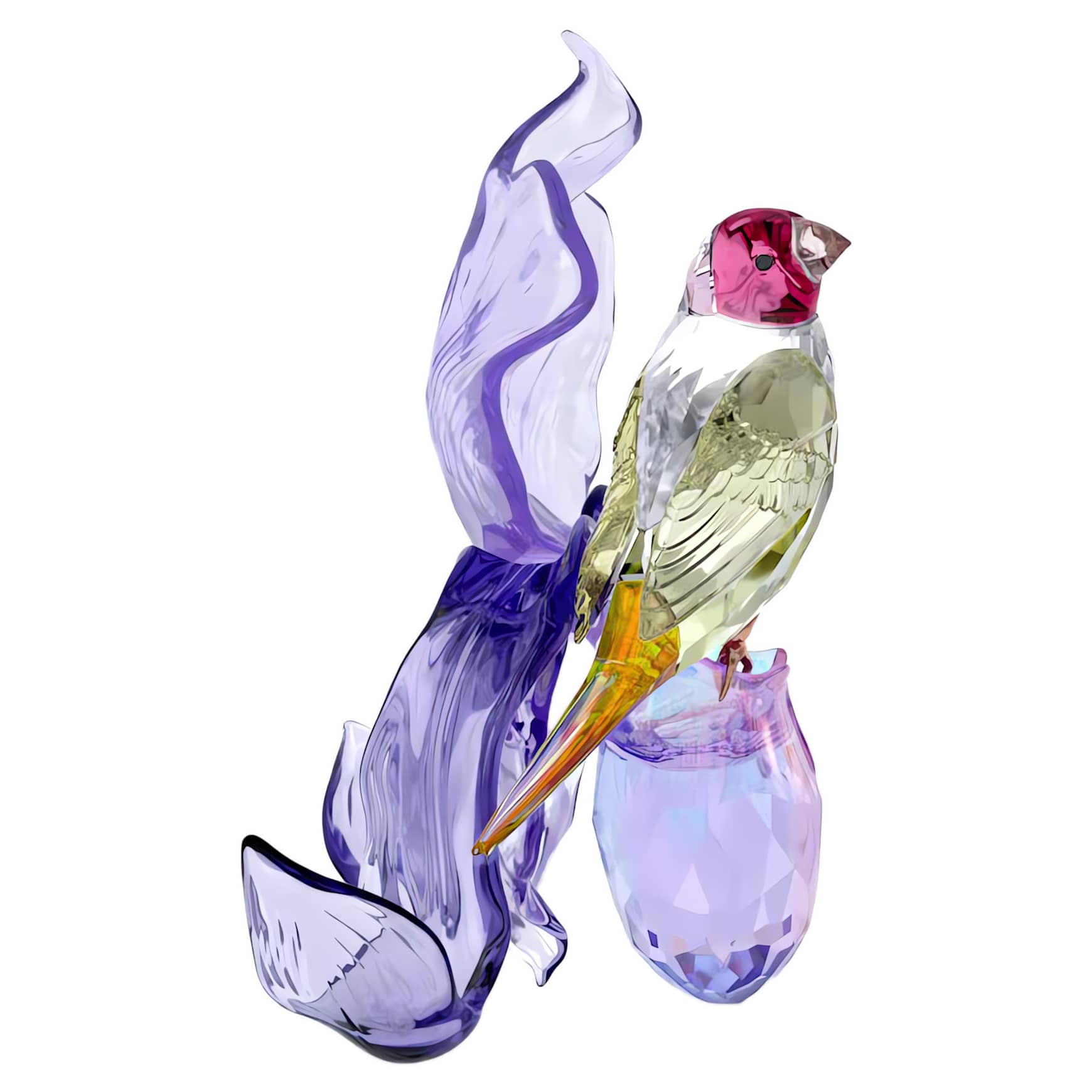 Idyllia Gouldian Finch and Orchid by SWAROVSKI