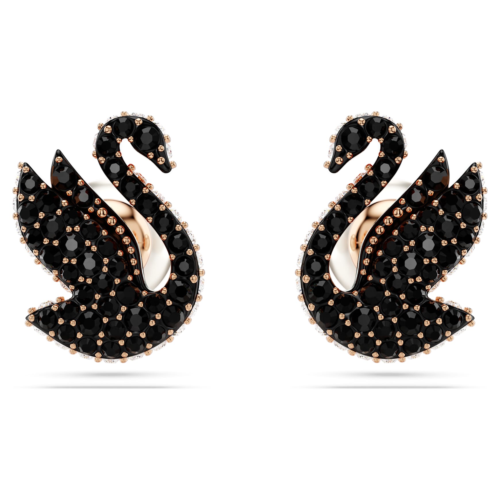 Swan stud earrings, Crystal pearl, Swan, Black, Rose gold-tone plated by SWAROVSKI
