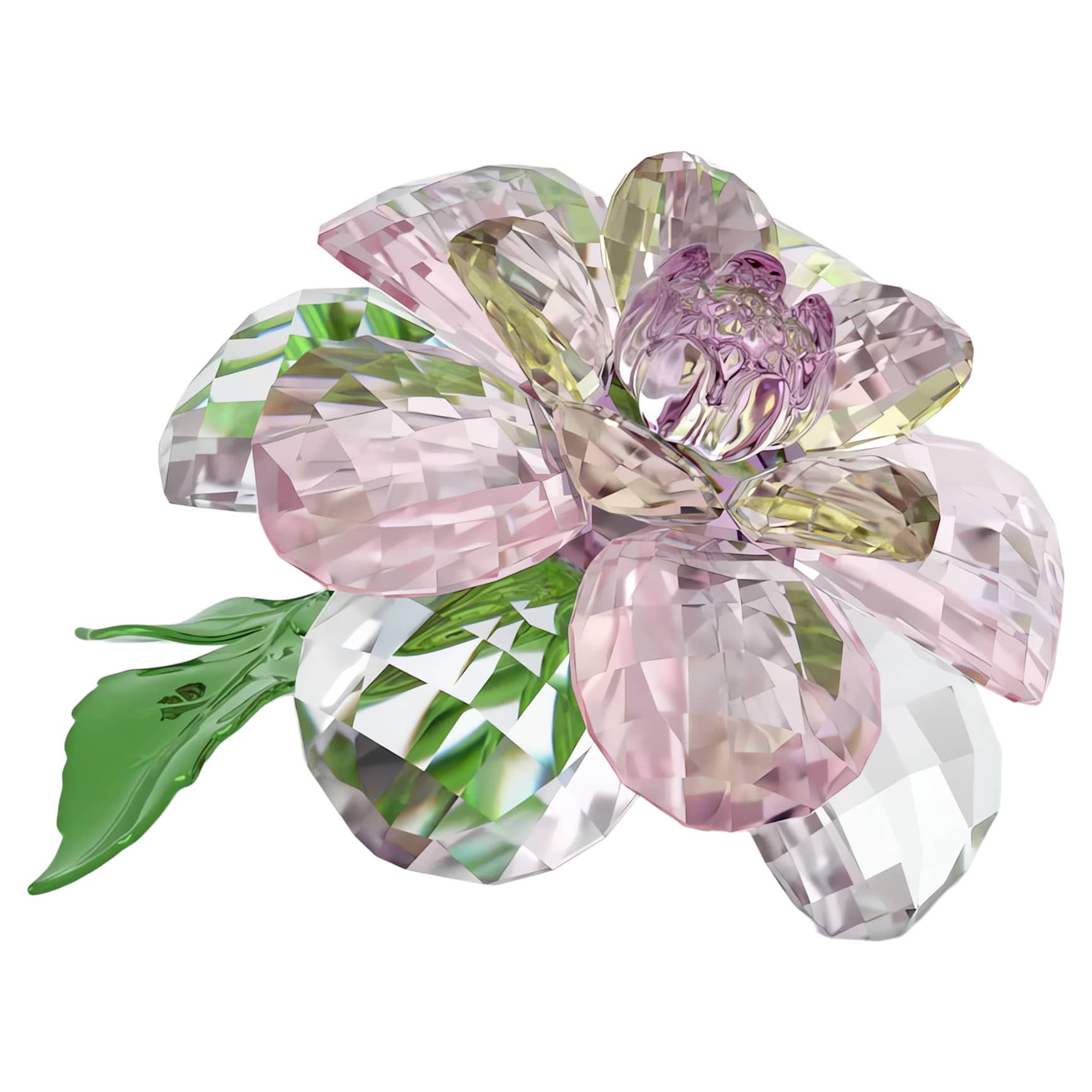 Florere Camellia by SWAROVSKI