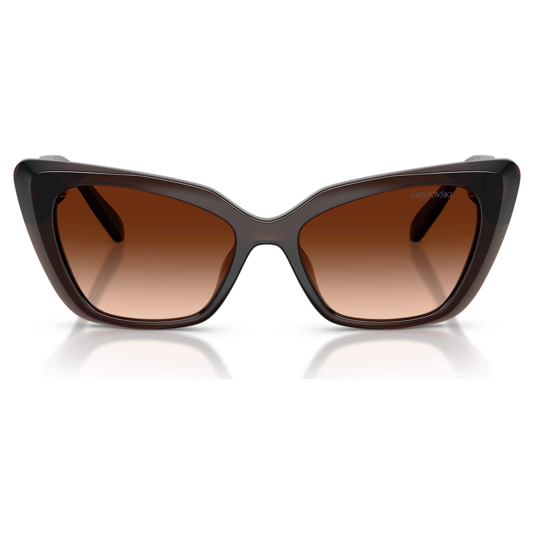 Sunglasses, Cat-Eye shape, SK6047, Dark brown by SWAROVSKI