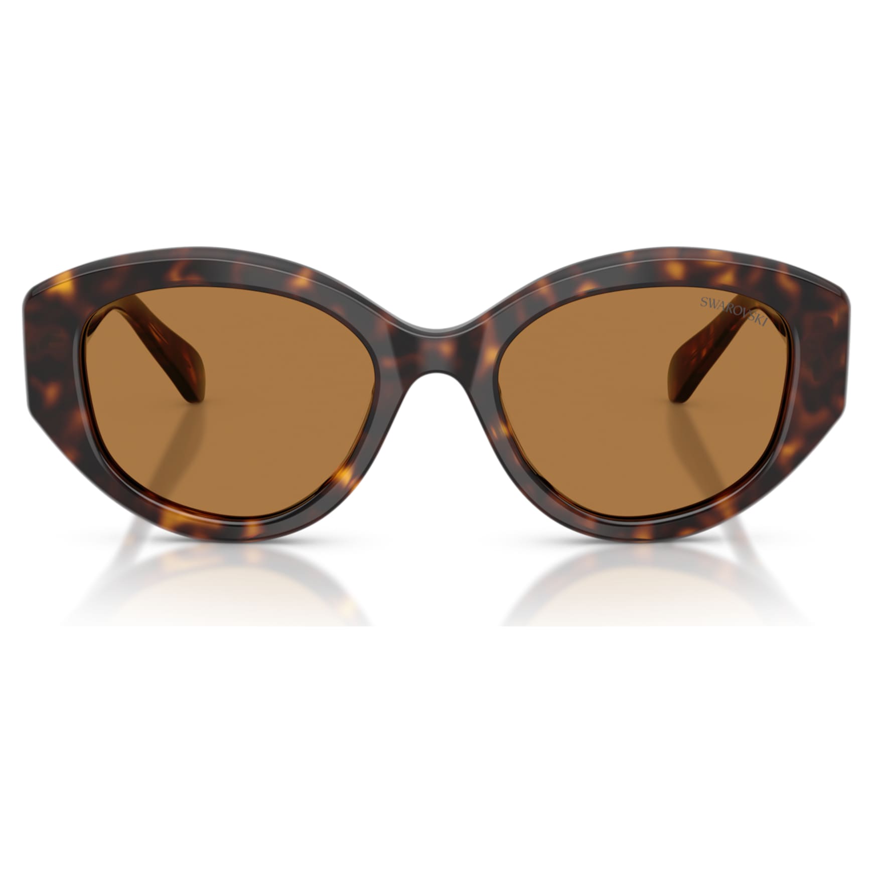 Sunglasses, Cat-eye shape, SK6005, Brown by SWAROVSKI