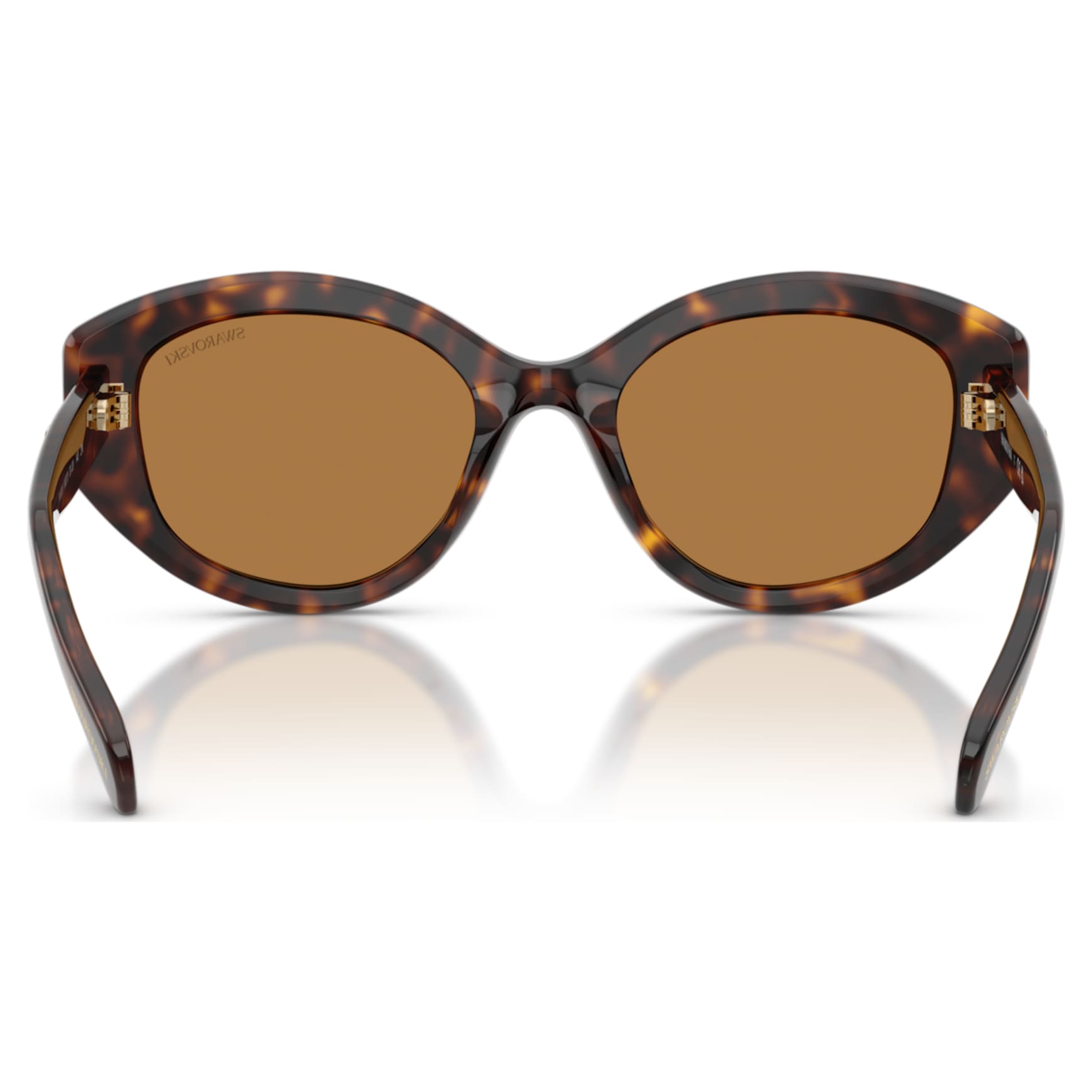 Sunglasses, Cat-Eye shape, SK6005, Brown by SWAROVSKI