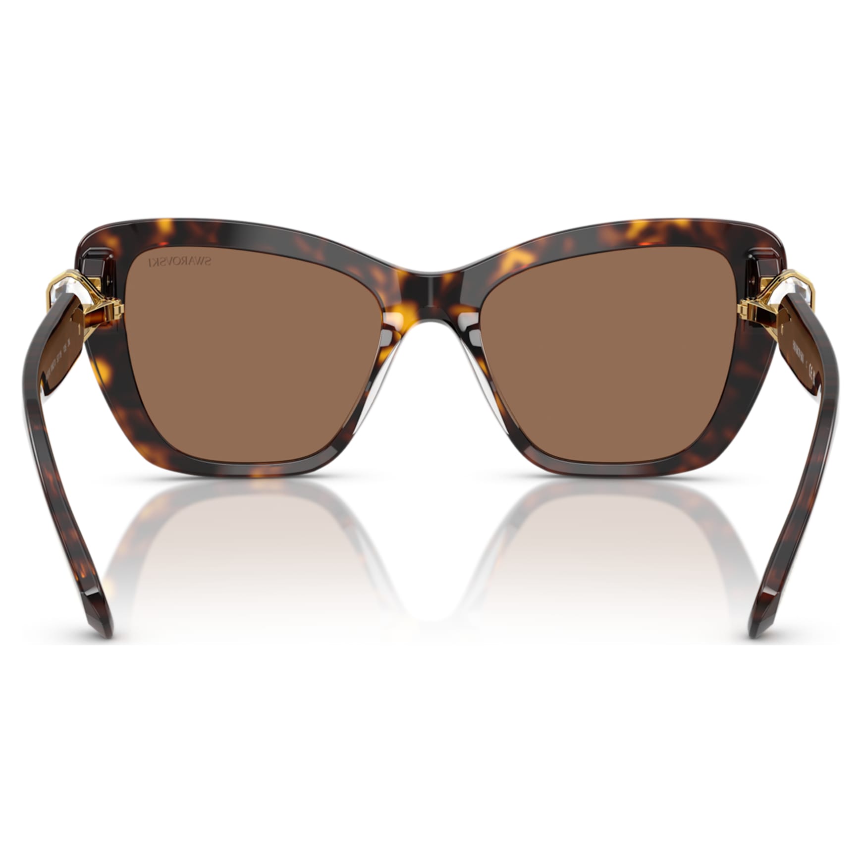 Sunglasses, Cat-Eye shape, SK6018, Brown by SWAROVSKI