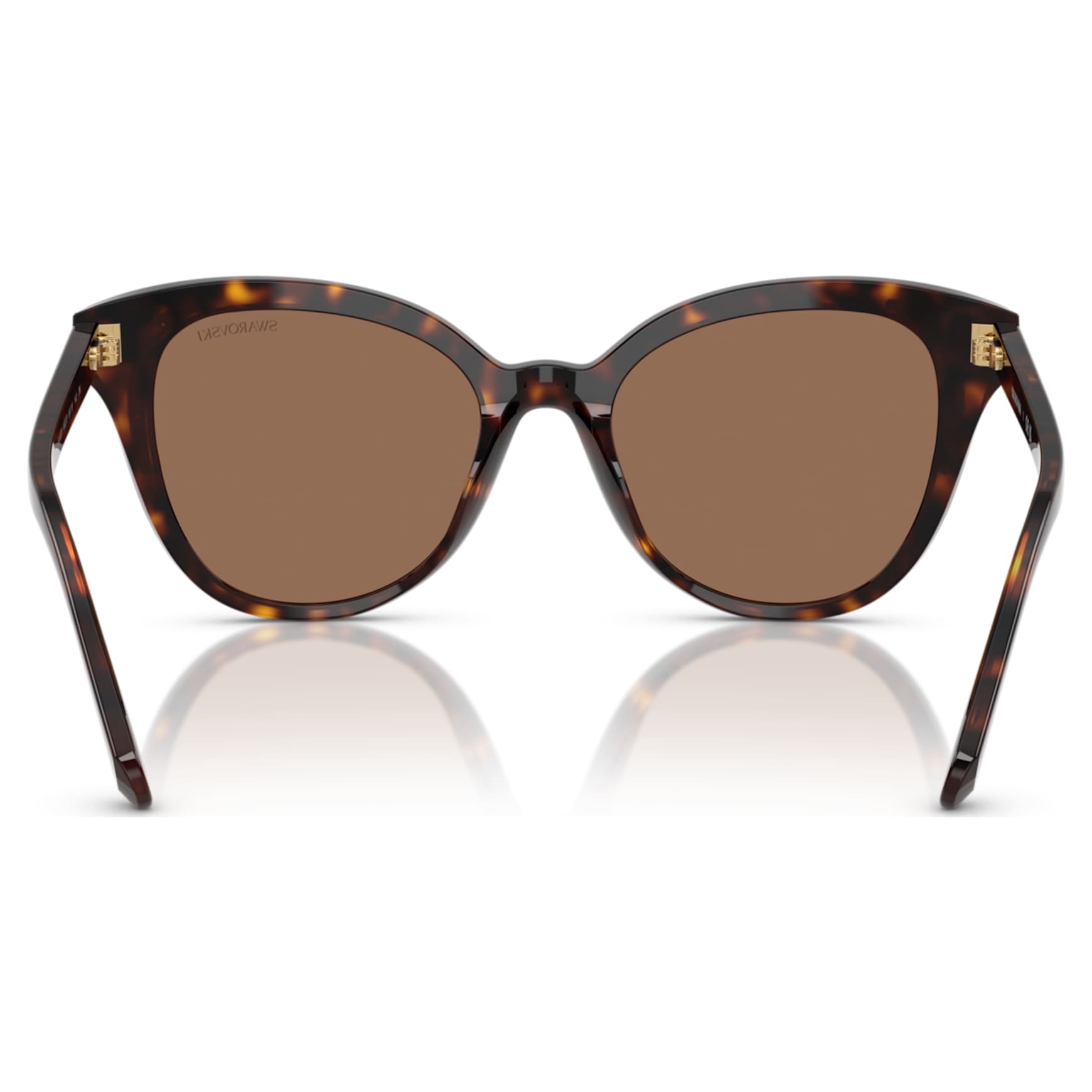 Sunglasses, Butterfly shape, SK6031, Brown by SWAROVSKI