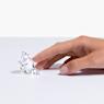 SCS Marmot (Event Piece 2020) - Swarovski, 5493709