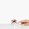 Joyful Poinsettia - Swarovski, 5698502