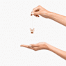 Gingerbread Reindeer Ornament - Swarovski, 5724044