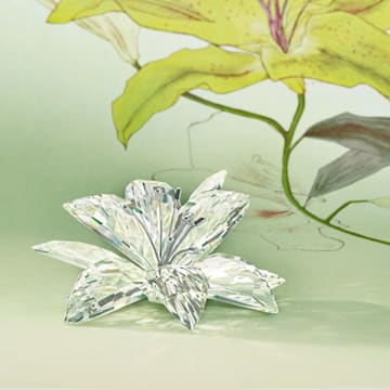 Lily - Swarovski, 5117446