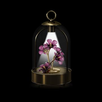 Garden Tales hibiskus LED-laterna - Swarovski, 5619240