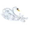 SCS Jubilee Edition 2017 Swans - Swarovski, 5233542