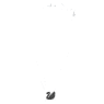 Swan pendant, Swan, Black, Rhodium plated - Swarovski, 5347329