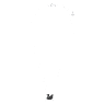 Swan hanger, Zwaan, S, Zwart, Rodium toplaag - Swarovski, 5347330