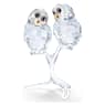 Feathered Beauties Owl Couple - Swarovski, 5493722