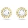 Una Angelic stud earrings, Round cut, White, Gold-tone plated - Swarovski, 5505470