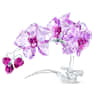 Crystal Flowers Orchid - Swarovski, 5520373