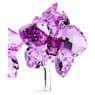 Crystal Flowers Orchid - Swarovski, 5520373