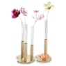 Garden Tales Rose - Swarovski, 5557800