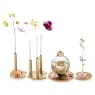 Jungle Beats Decorative Stand Andoki, Small - Swarovski, 5568477