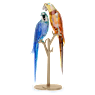 Jungle Beats Papageienpaar Bell & Brio - Swarovski, 5619218