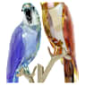 Jungle Beats Papageienpaar Bell & Brio - Swarovski, 5619218