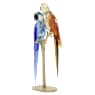 Jungle Beats Papageienpaar Bell & Brio - Swarovski, 5619218