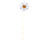 Garden Tales Daisy - Swarovski, 5619221