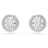 Constella Oorknopjes, Ronde slijpvorm, Pavé, Wit, Rodium toplaag - Swarovski, 5636269