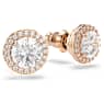 Constella Oorknopjes, Ronde slijpvorm, Pavé, Wit, Roségoudkleurige toplaag - Swarovski, 5636275