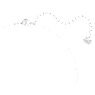 Idyllia Lilia Y necklace, Butterfly, White, Rhodium plated - Swarovski, 5636415
